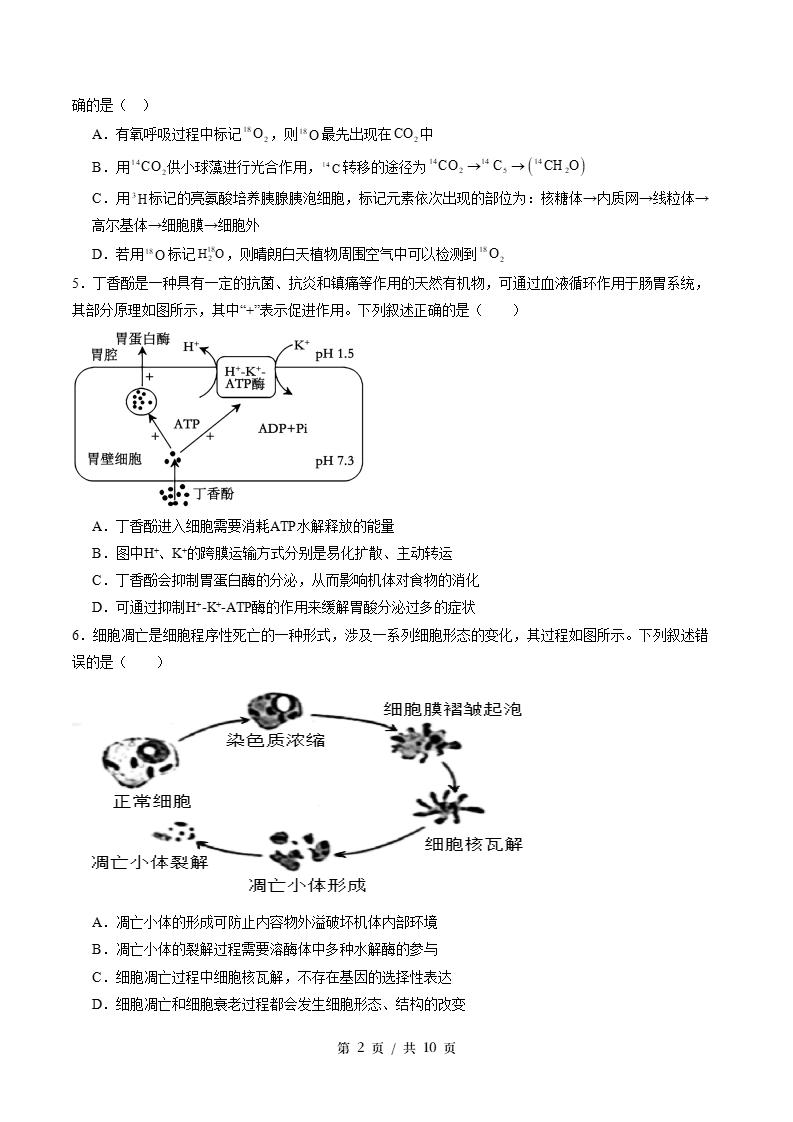 高中生物-高一下学期期末试卷答案解析苏教版插图同步试卷专项1