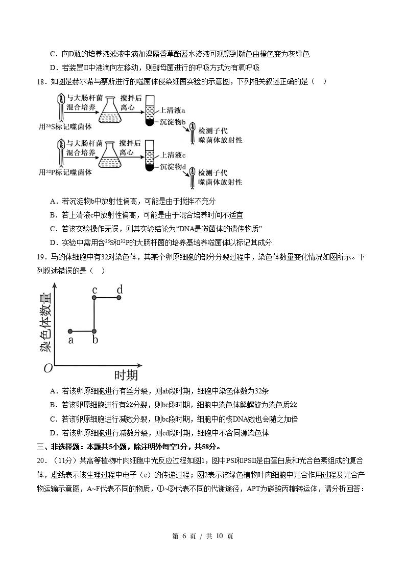 高中生物-高一下学期期末试卷答案解析苏教版插图同步试卷专项4