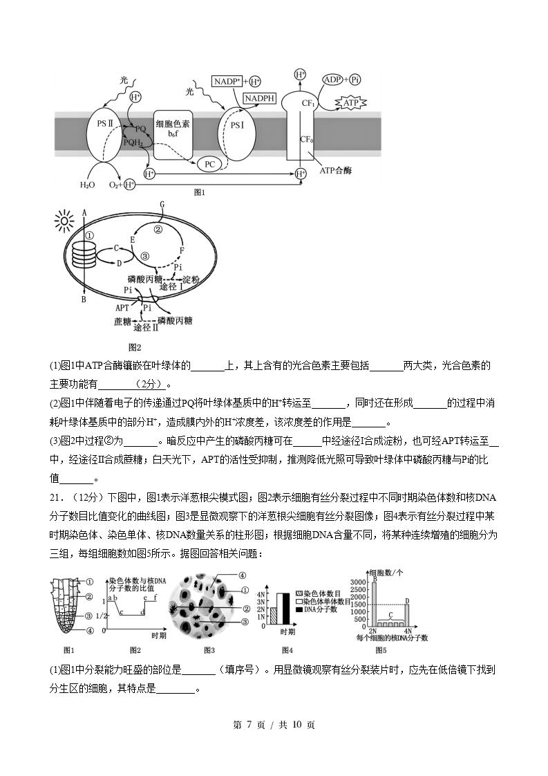 高中生物-高一下学期期末试卷答案解析苏教版插图同步试卷专项5
