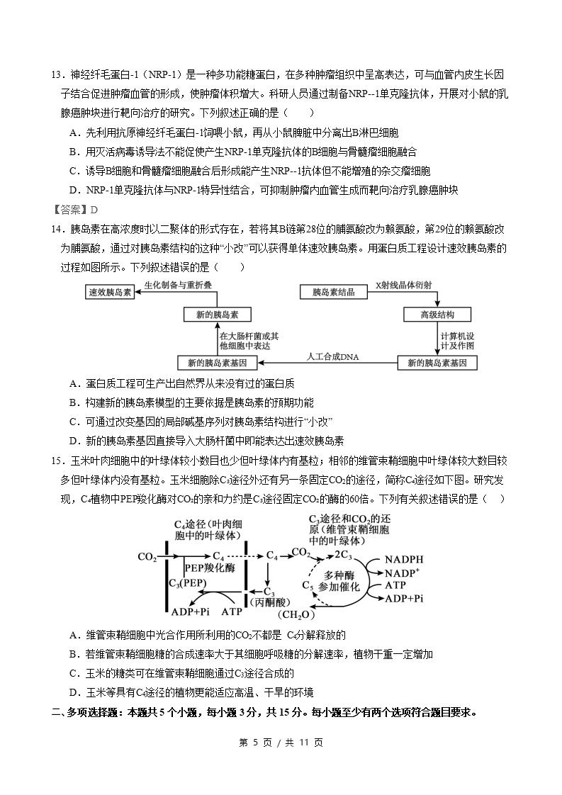 高中生物-高二下学期期末试卷答案解析通用版插图同步试卷专项4