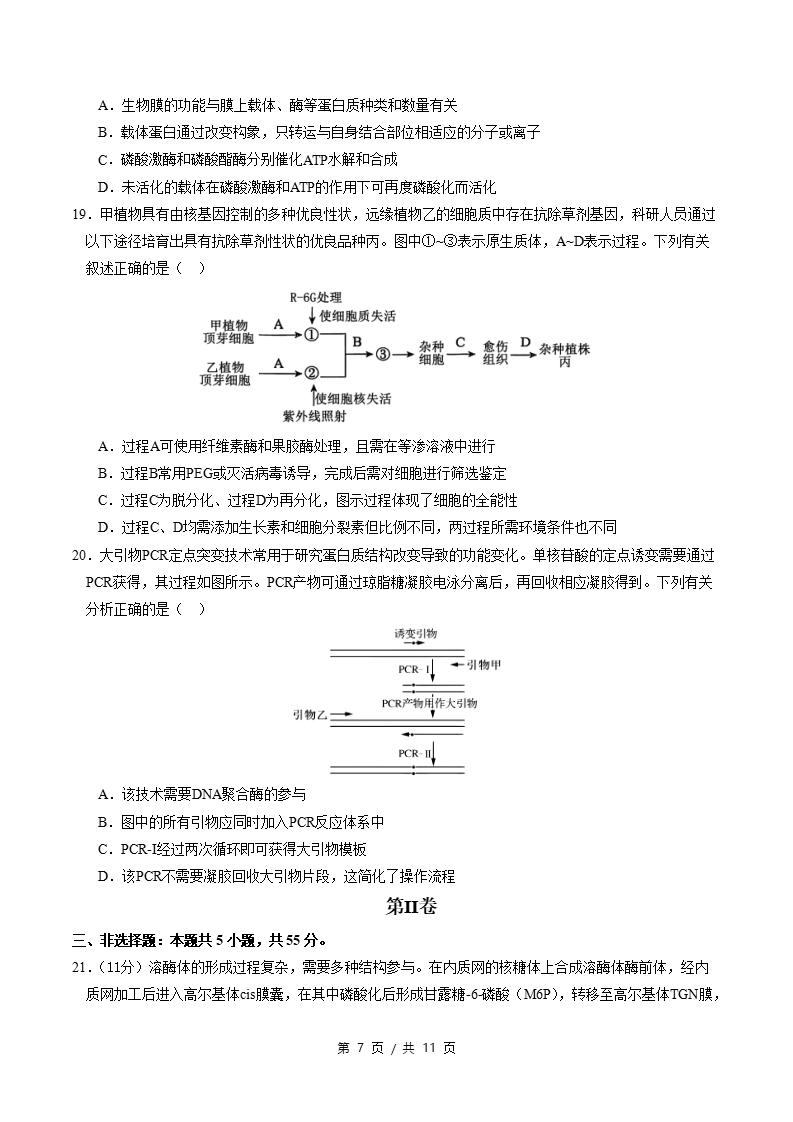 高中生物-高二下学期期末试卷答案解析通用版插图同步试卷专项5