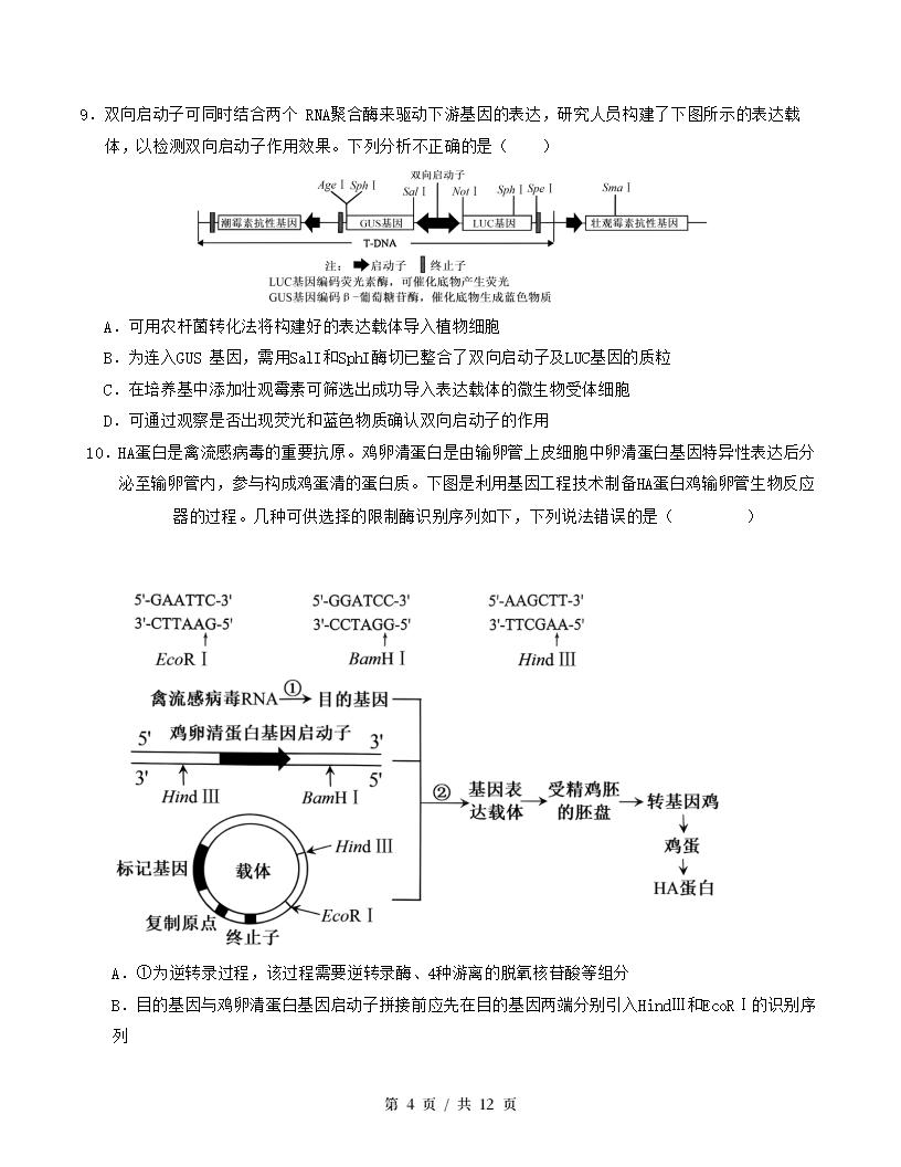 高中生物-高二下学期期末试卷答案解析人教版插图同步试卷专项3