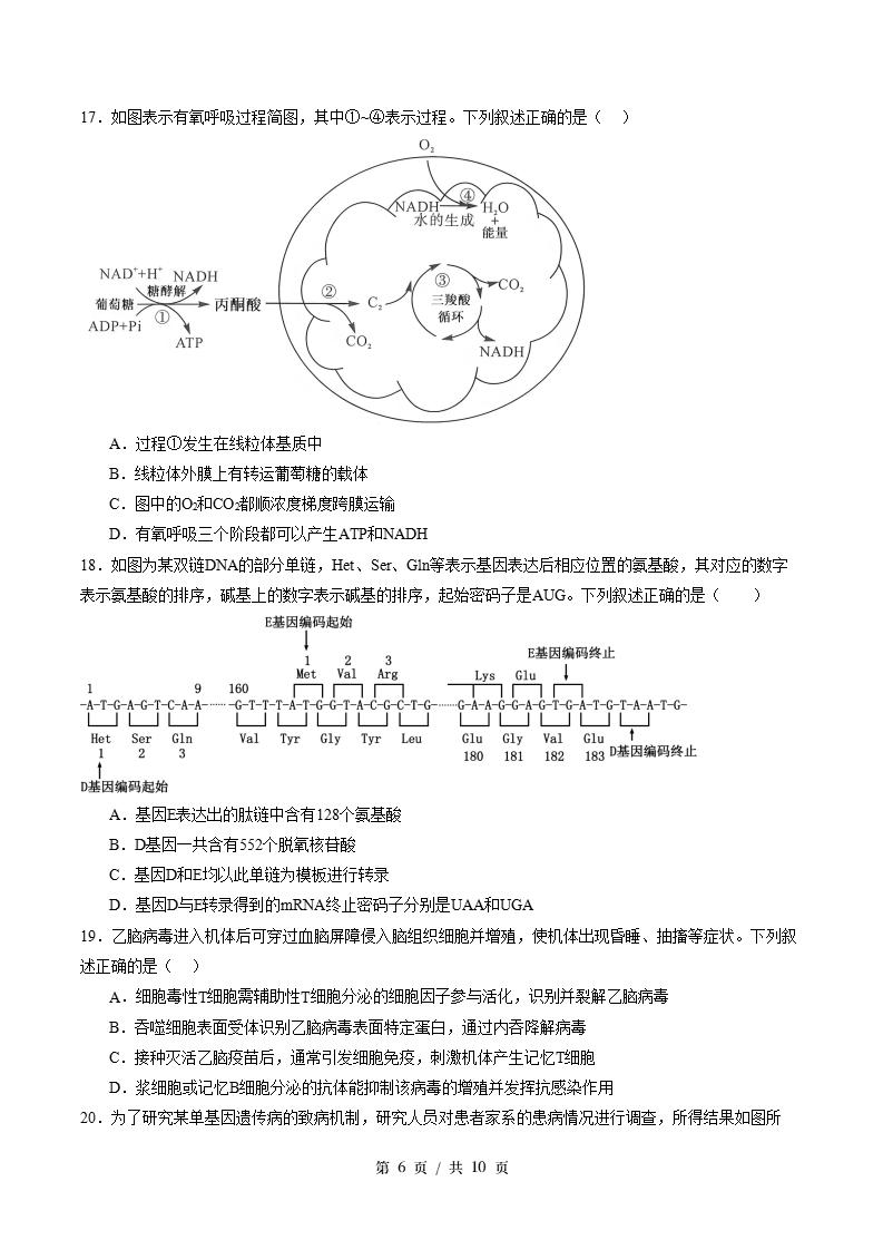 高中生物-高二下学期期末试卷答案解析浙科版插图同步试卷专项4