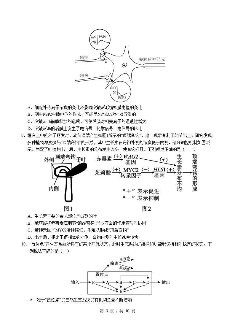 高中生物-高二下学期期末试卷答案解析苏教版插图同步试卷专项2
