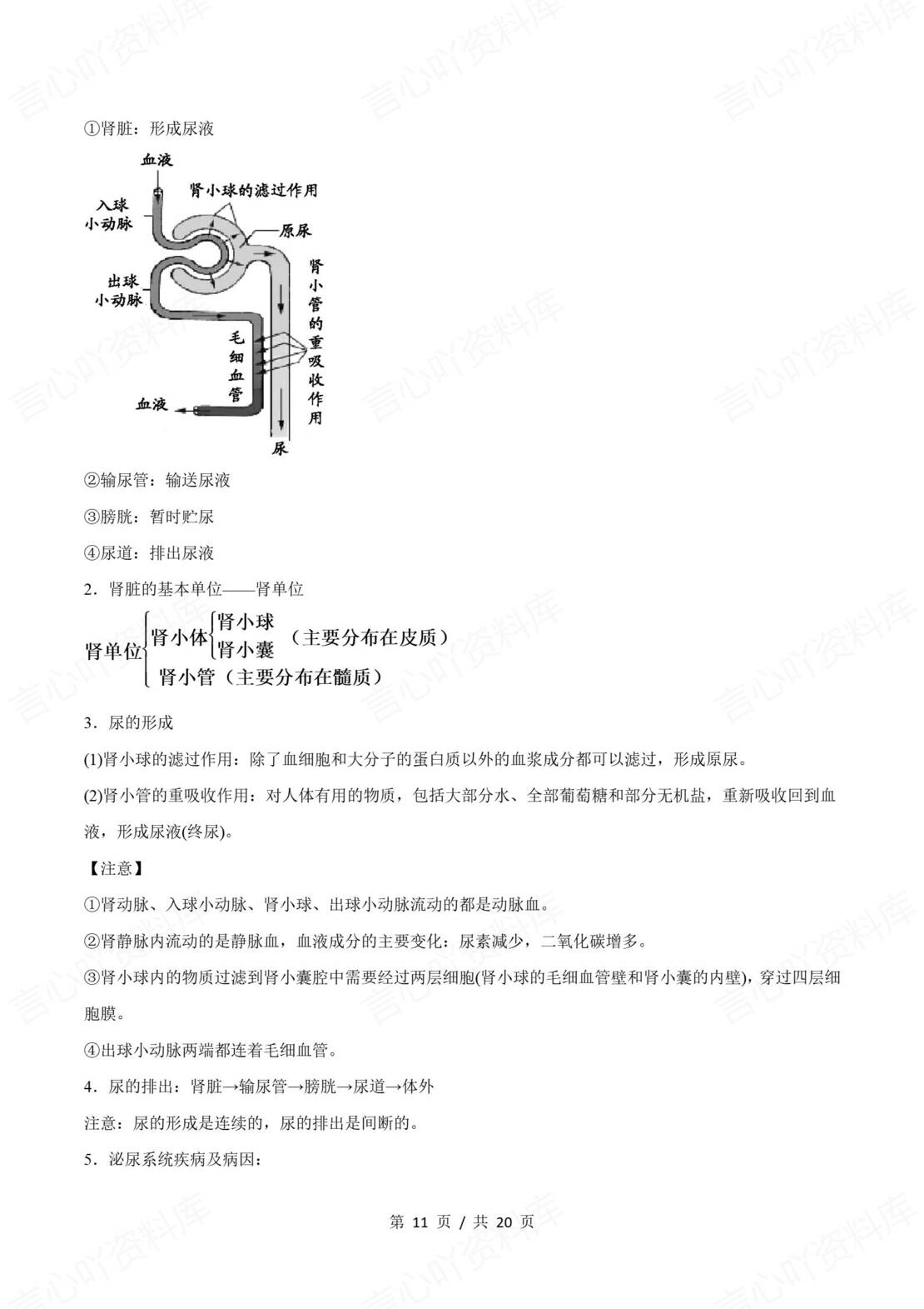 初中生物 | 新教材北师大版七年级下单元知识归纳总结插图初中生物4