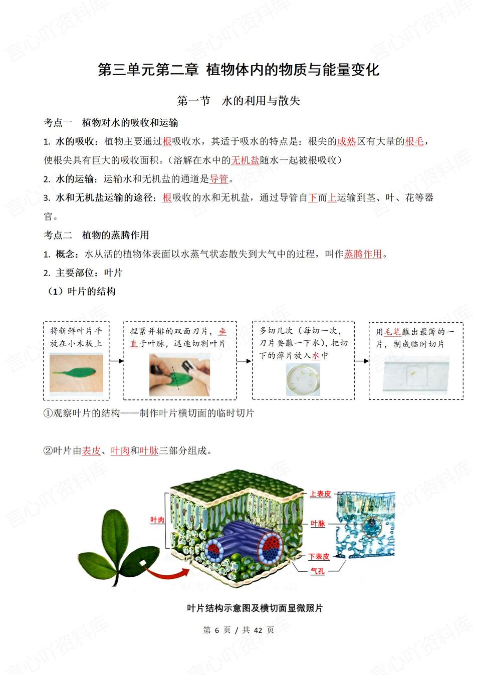 初中生物 | 新教材人教版七年级下单元知识归纳总结插图初中生物2