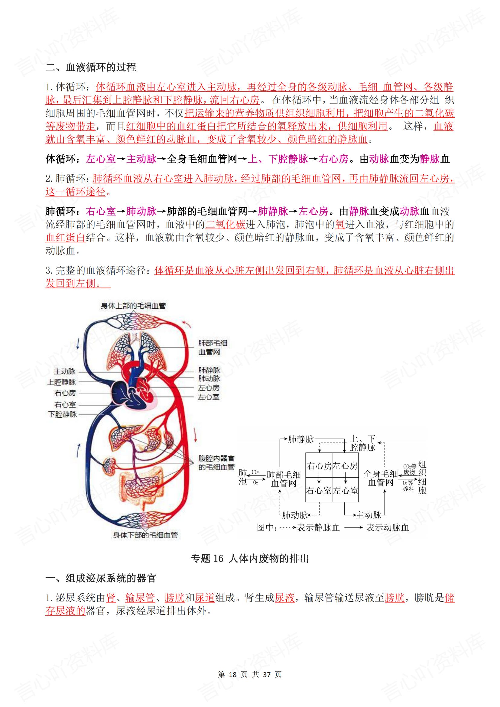 初中生物 | 七下期末知识清单专题背诵填空插图初中生物6