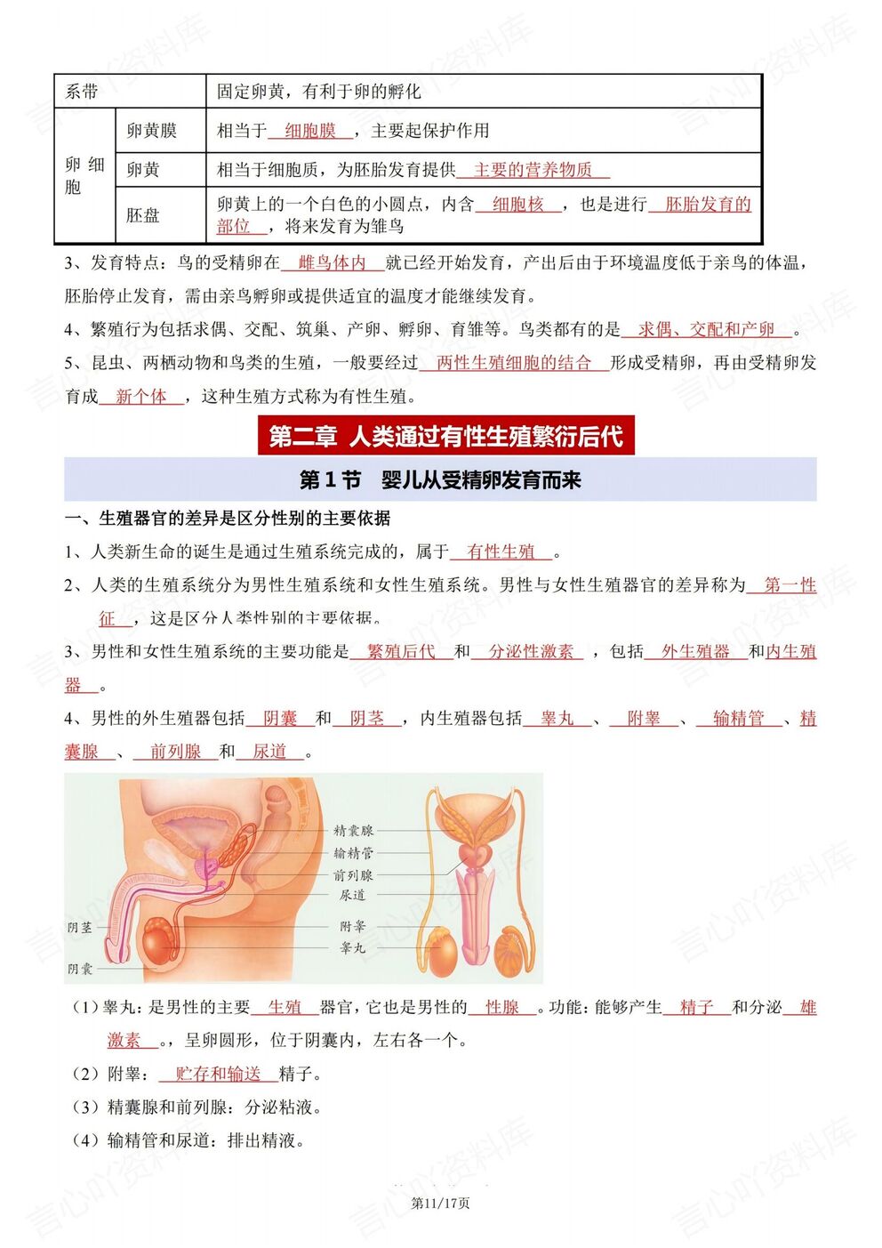初中生物 | 济南版初一下章节知识点提纲插图初中生物6