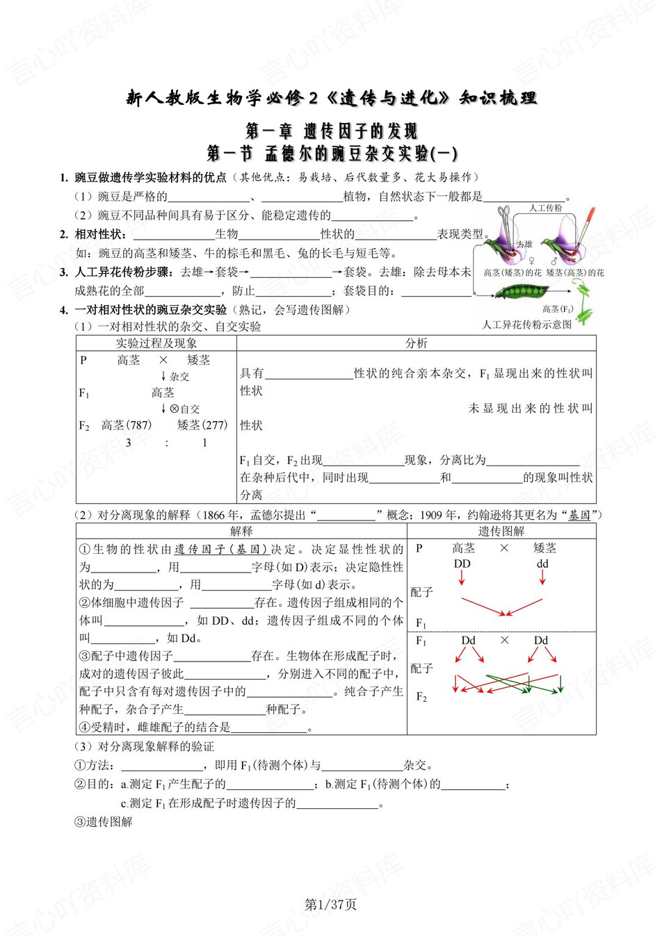高中生物 | 新人教版必修二同步清单填空背诵知识总结梳理（填空默写）-言心吖资料库