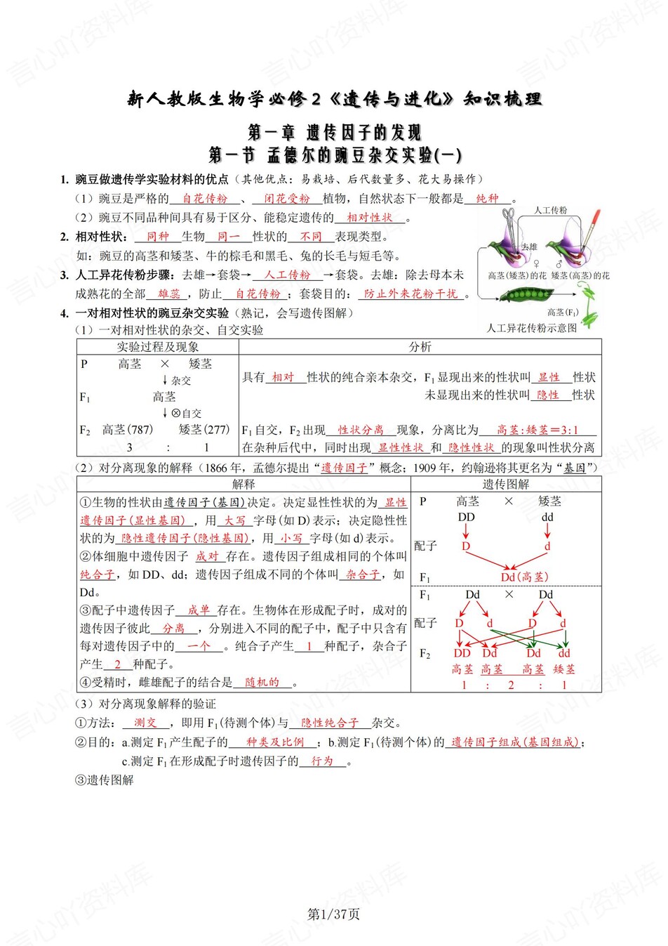 高中生物 | 新人教版必修二同步清单填空背诵知识总结梳理（背诵答案）-言心吖资料库