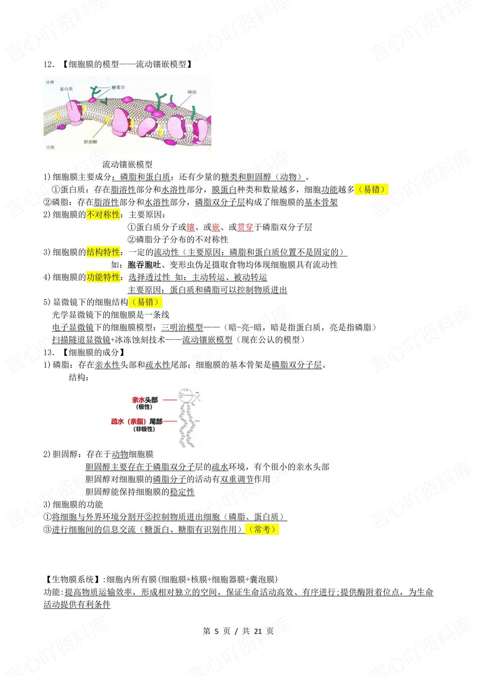 高中生物 | 新浙教浙科版必修一同步清单填空背诵知识总结梳理（背诵答案）插图高中生物4