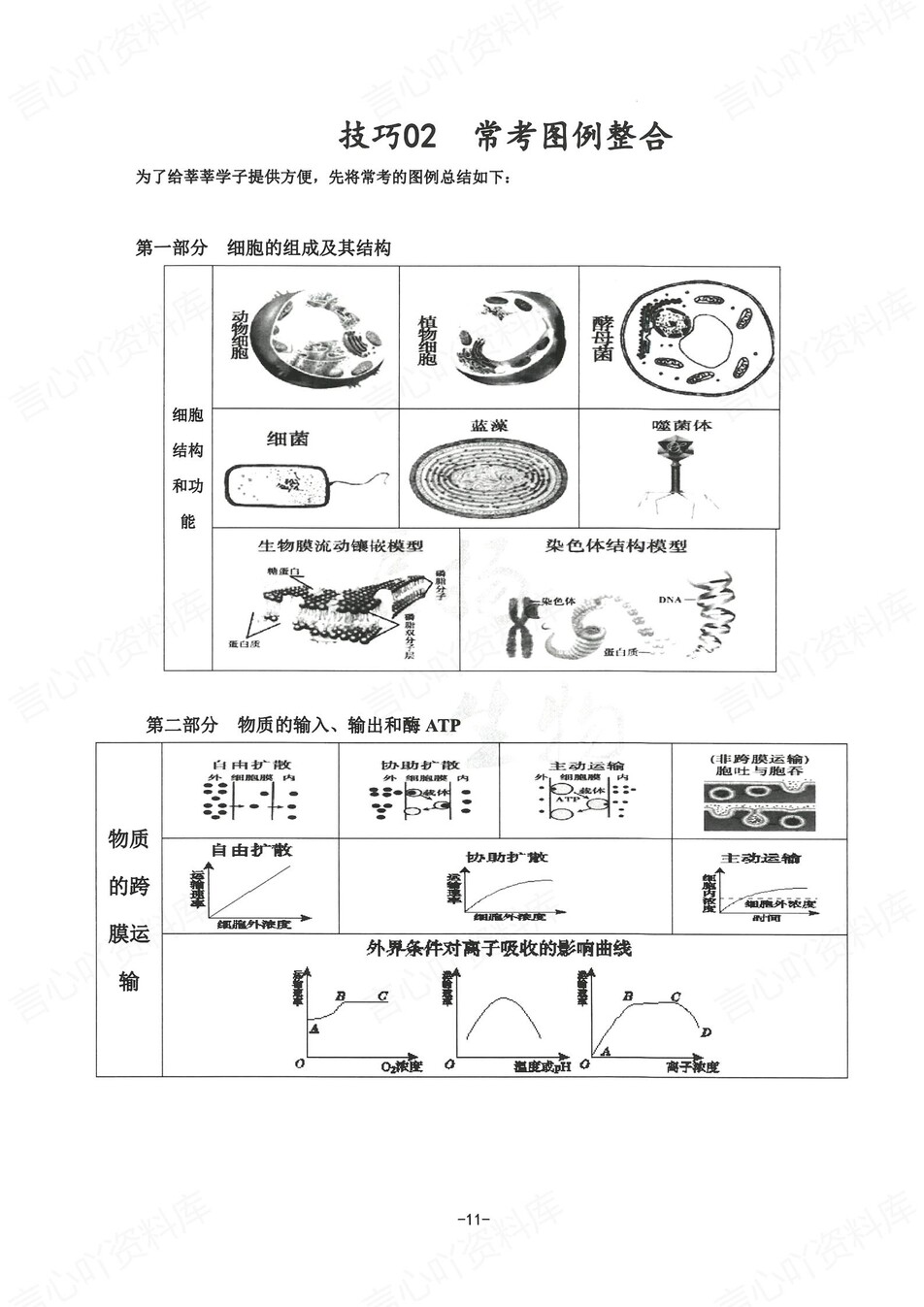 高中生物 | 新版答题模板高考常用解题型技巧方法汇总插图高中生物5