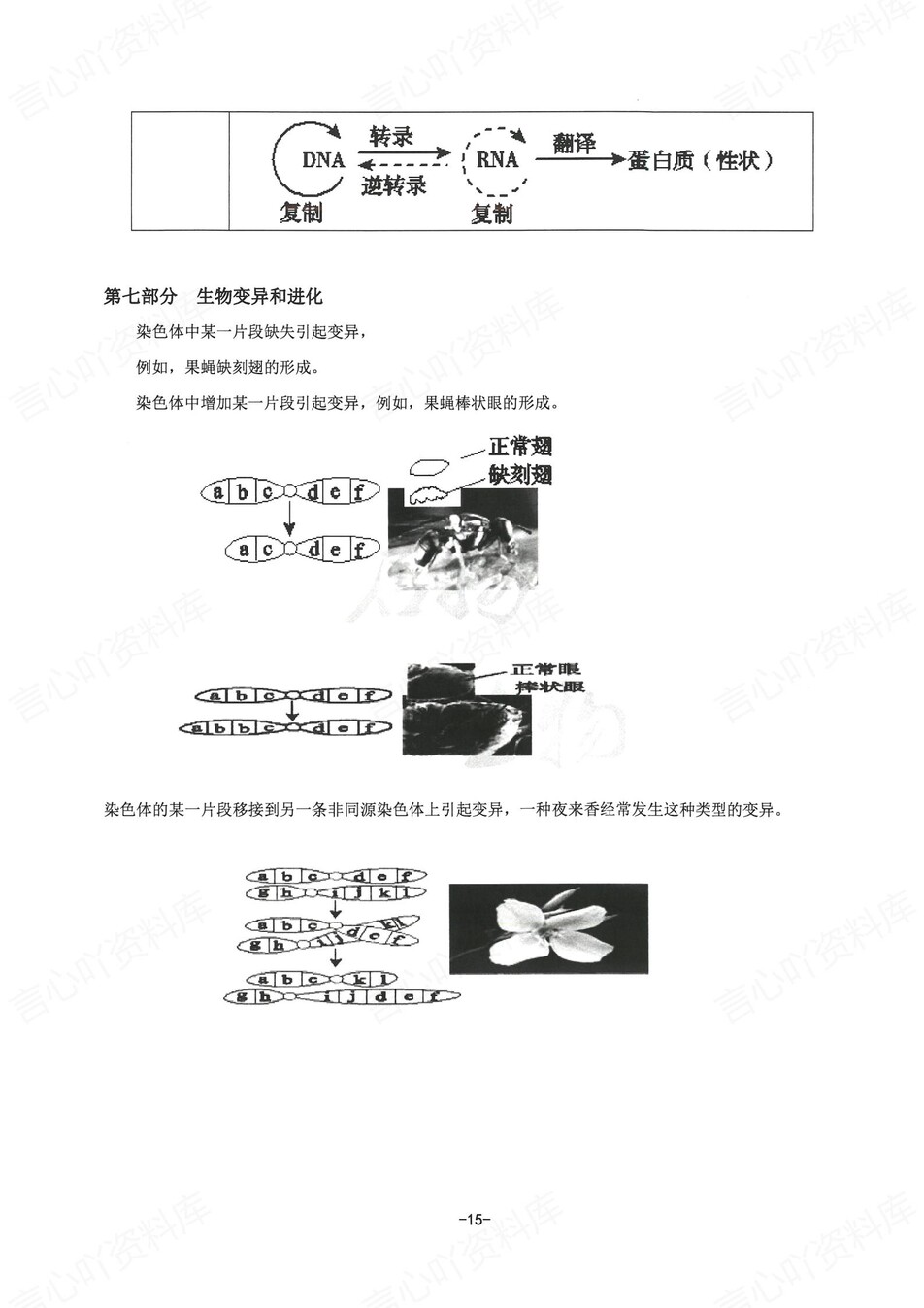 高中生物 | 新版答题模板高考常用解题型技巧方法汇总插图高中生物6
