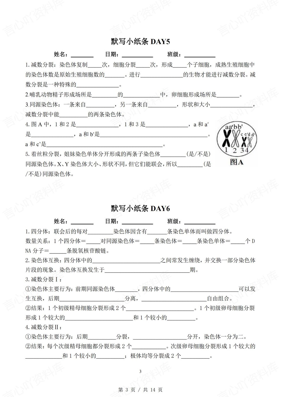 高中生物 | 通用版必修二知识点默写小纸条填空梳理总结（填空默写）插图高中生物2