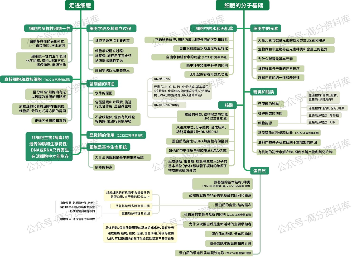 高中生物-思维导图重要知识导图必修选修高中知识点梳理插图高中生物1