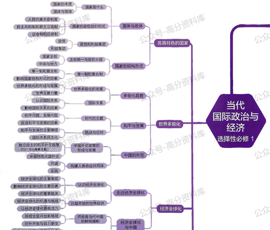 高中政治-思维导图重要知识导图必修选修高中知识点梳理插图高中政治5