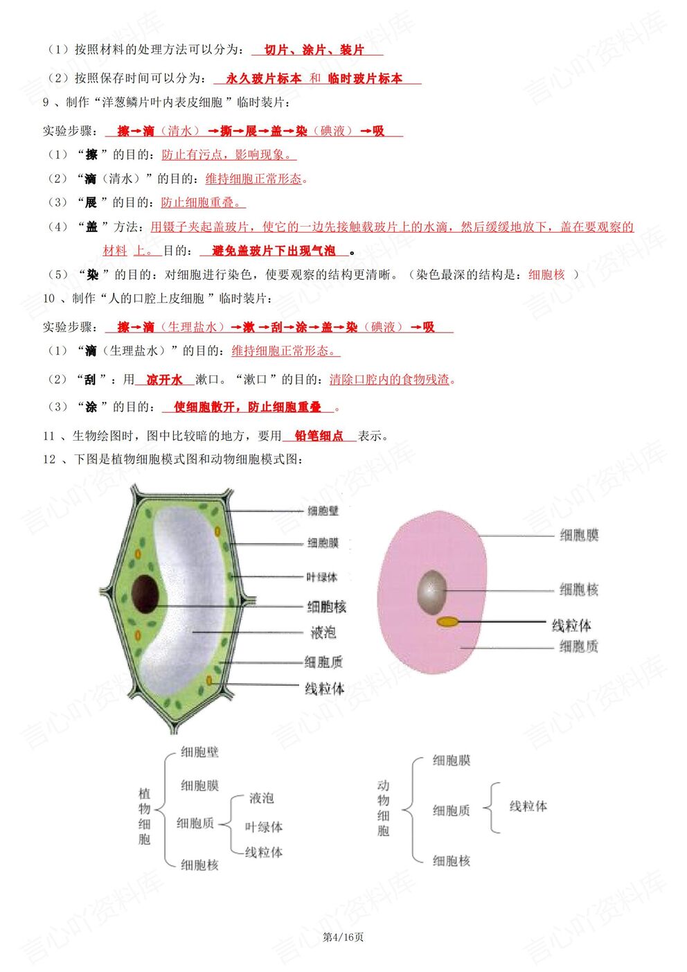 初中生物 | 新教材初一上册章节重点知识汇总插图初中生物2
