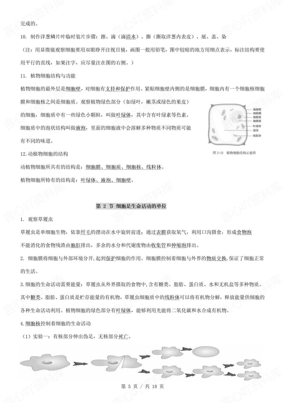 初中生物 | 新教材北师大版七年级上同步知识清单（背诵填空版）插图初中生物2