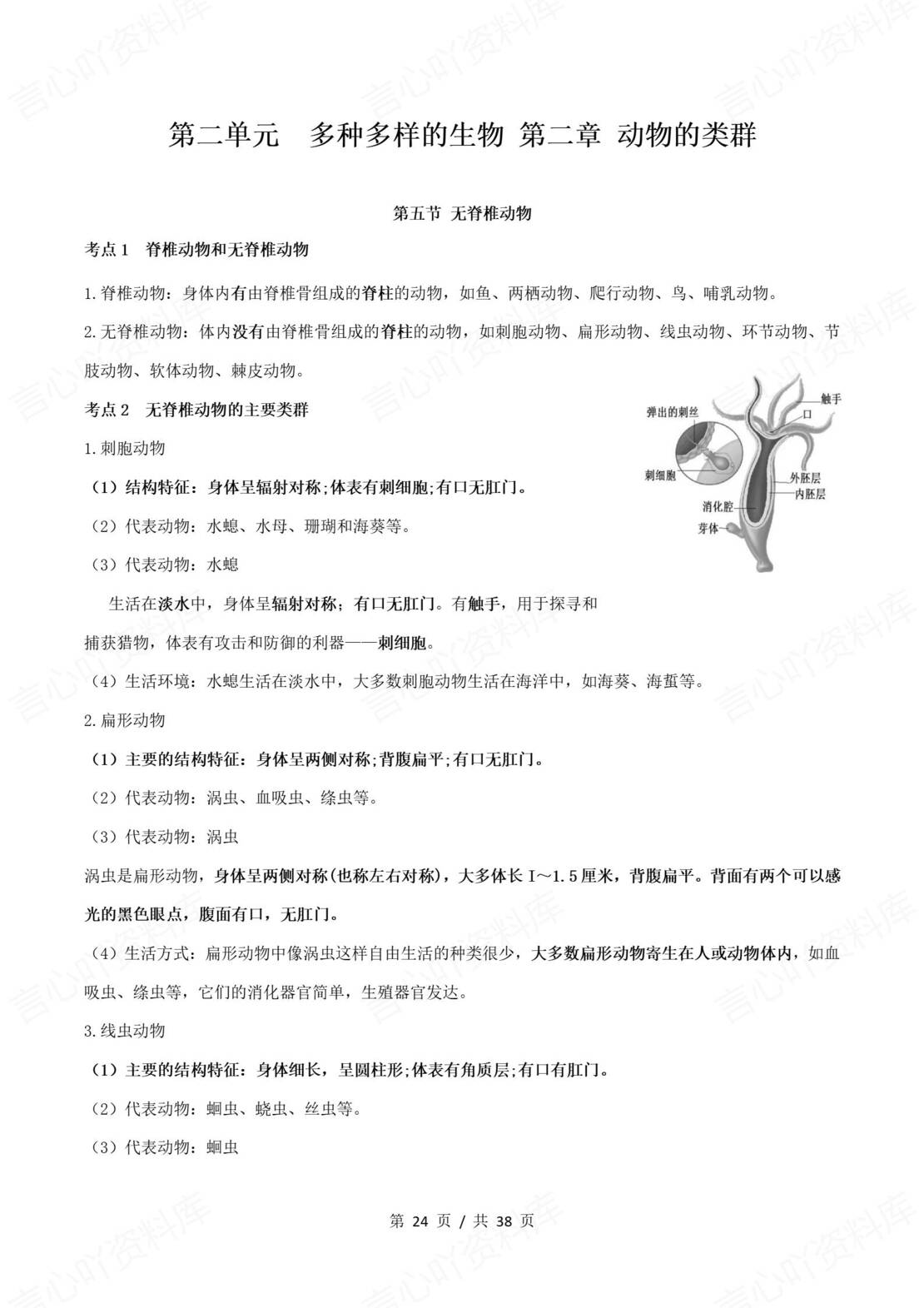 初中生物 | 新教材人教版七年级上单元知识归纳总结插图初中生物5