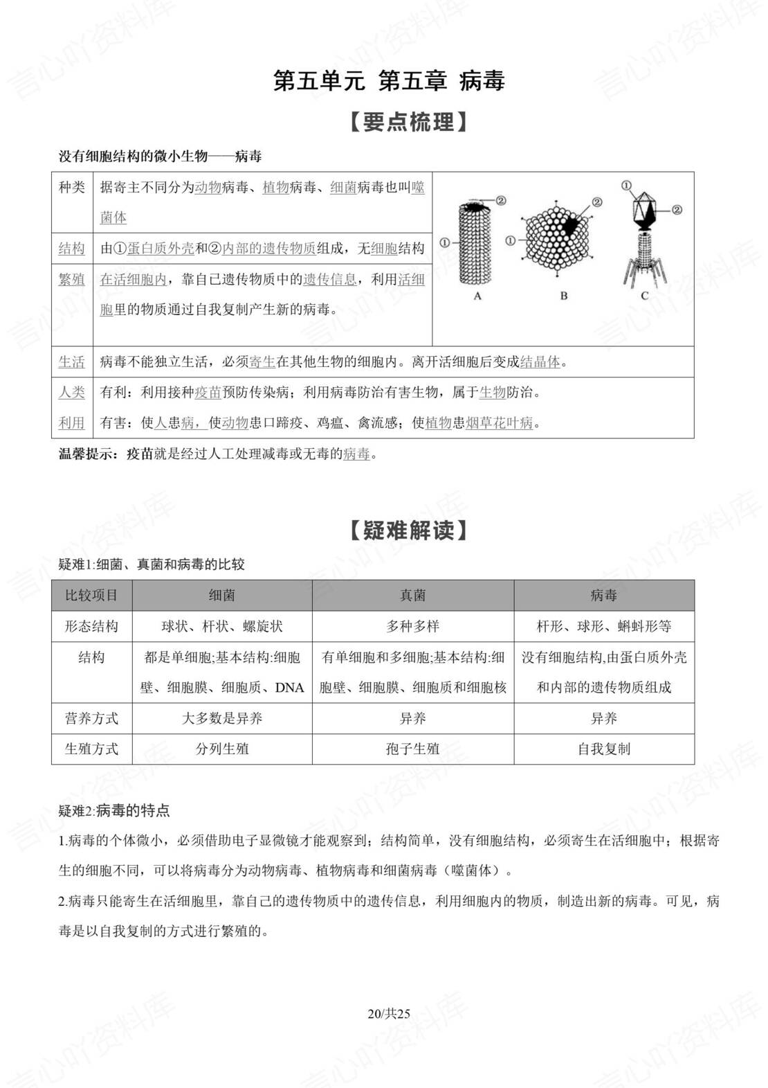 初中生物 | 人教版八年级上册知识总结（原卷解析版）插图初中生物6