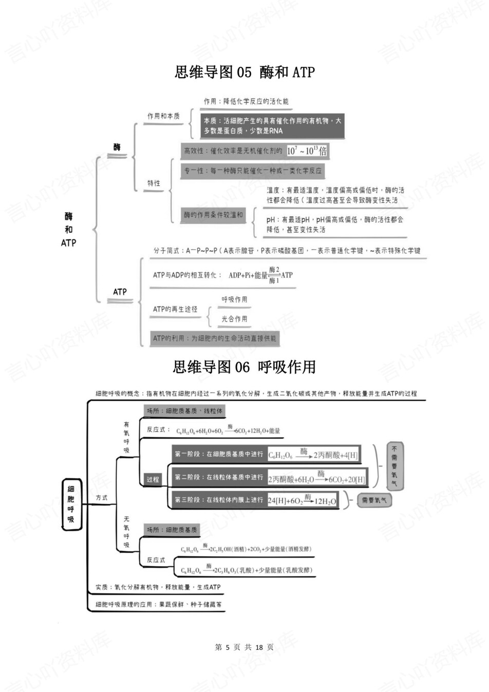 高中生物-全五册必修选必知识清单思维导图梳理插图高中生物3