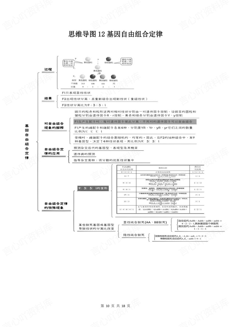 高中生物-全五册必修选必知识清单思维导图梳理插图高中生物5