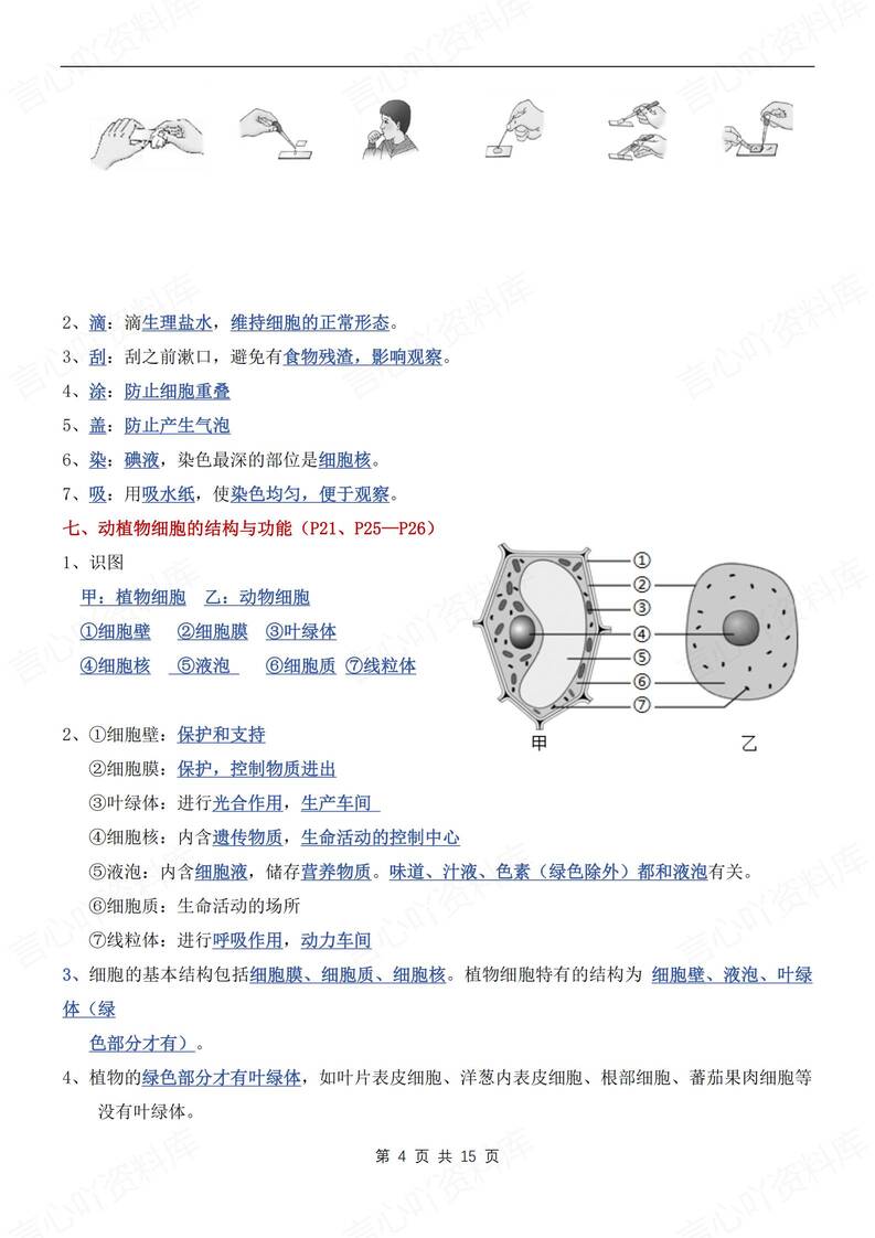 初中生物-七年级上30个高频考点梳理新人教初一上专项默写背诵插图初中生物3