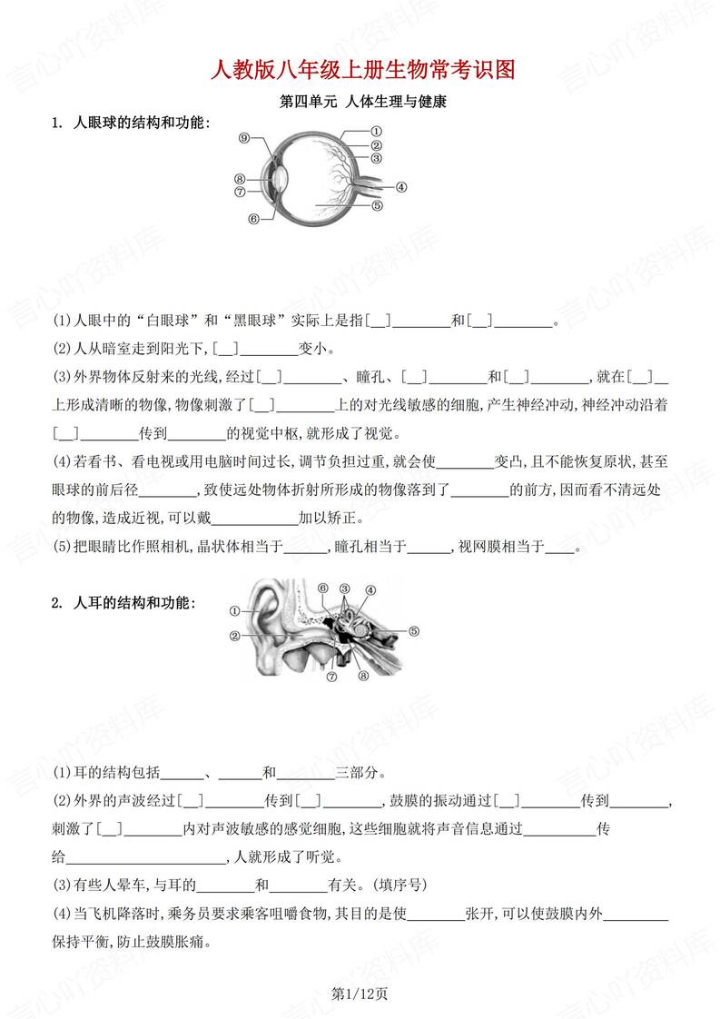 初中生物-八年级上16个常考识图知识汇总新人教初二上专题含答案-言心吖资料库