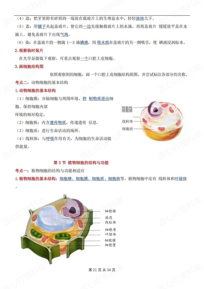 初中生物-七年级上章节知识汇总梳理新苏教初一上专项默写背诵插图初中生物4