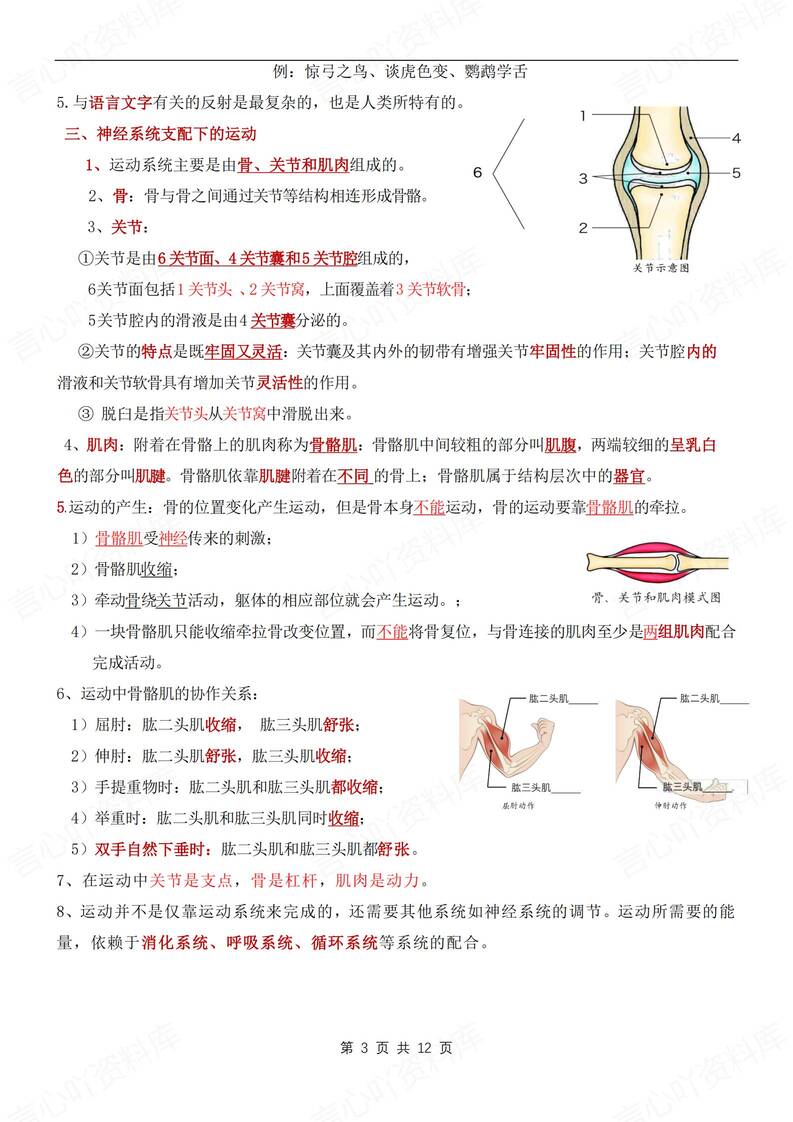 初中生物-八年级上章节知识点归纳梳理新人教初二上复习插图初中生物2
