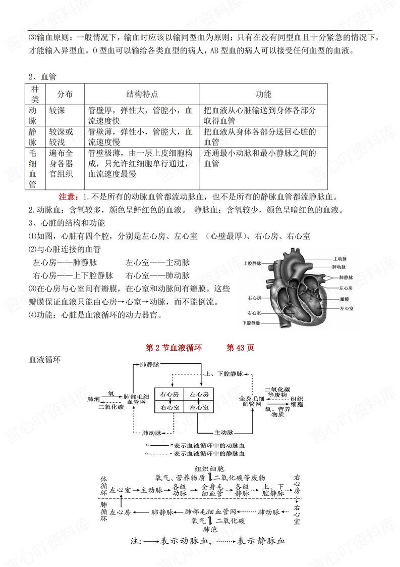初中生物-八年级上章节知识点归纳梳理新苏教初二上复习插图初中生物3