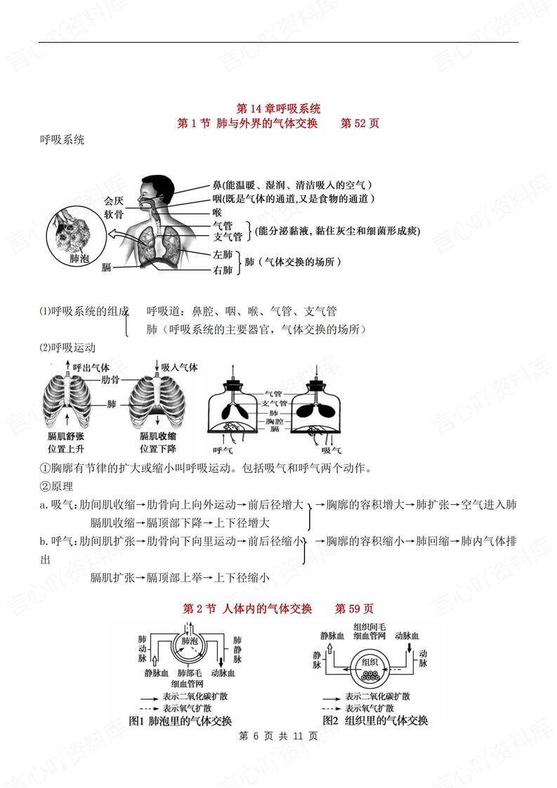 初中生物-八年级上章节知识点归纳梳理新苏教初二上复习插图初中生物5