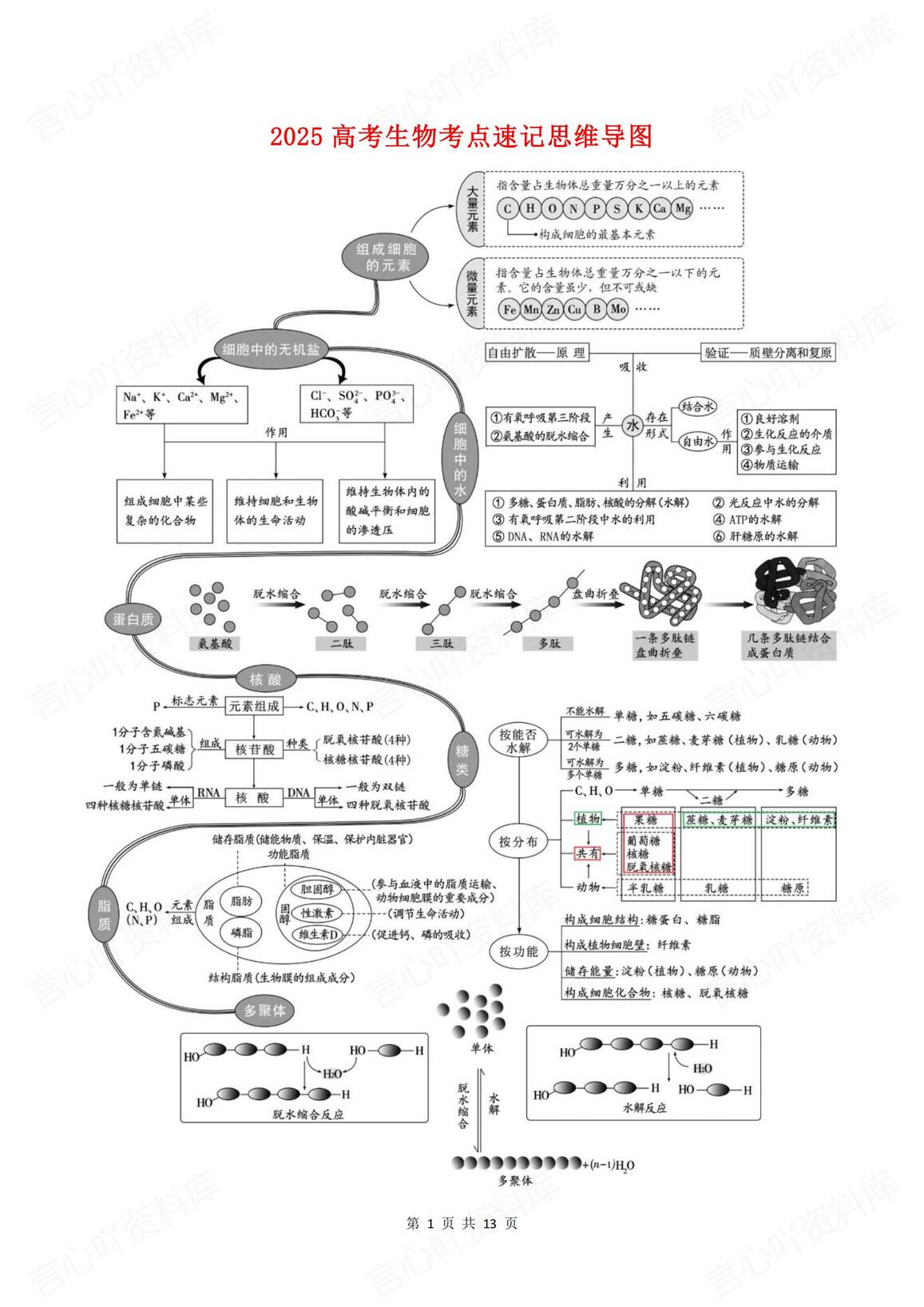 高中生物-2025高考生物考点速记思维导图-言心吖资料库
