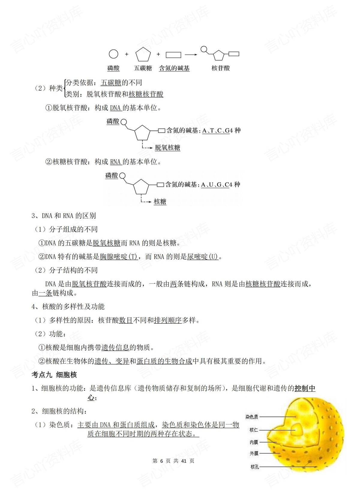 高中生物 | 学业水平合格会考知识考点总结插图高中生物5