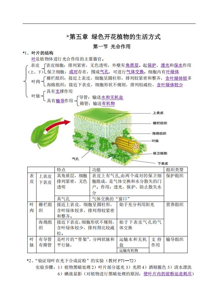 初中生物-北师版生物七年级上知识点复习提纲16页插图初中生物5