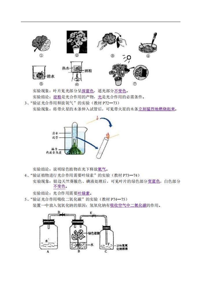 初中生物-北师版生物七年级上知识点复习提纲16页插图初中生物6