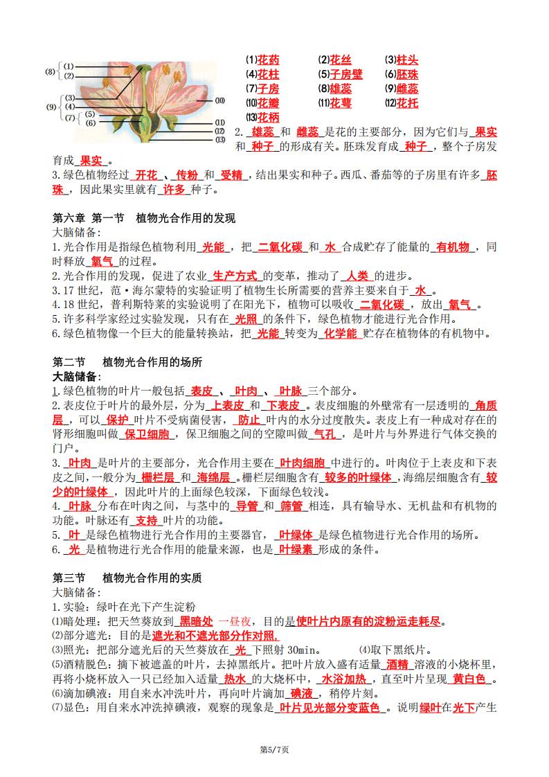 初中生物-苏教版七年级上册知识点汇总（逐章节）插图初中生物4