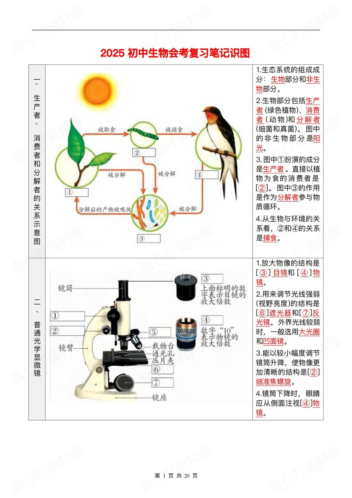 初中生物-2025会考复习知识彩图笔记-言心吖资料库