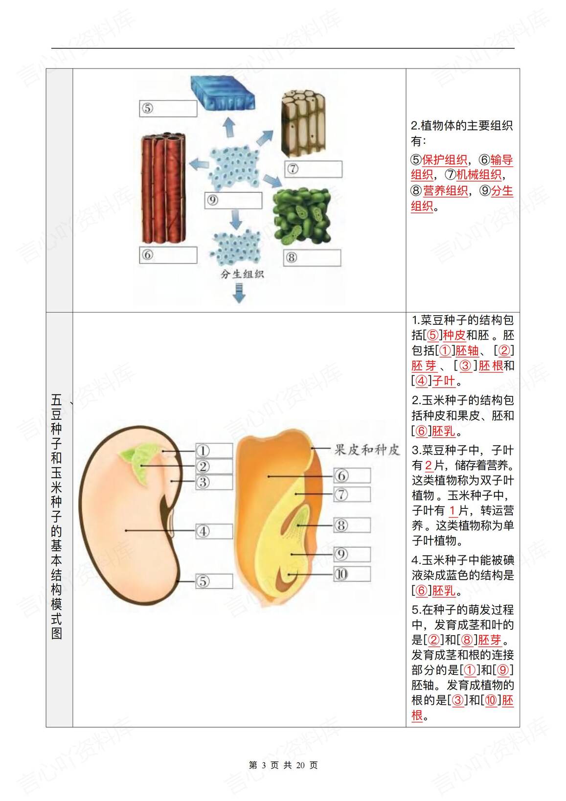 初中生物-2025会考复习知识彩图笔记插图初中生物1