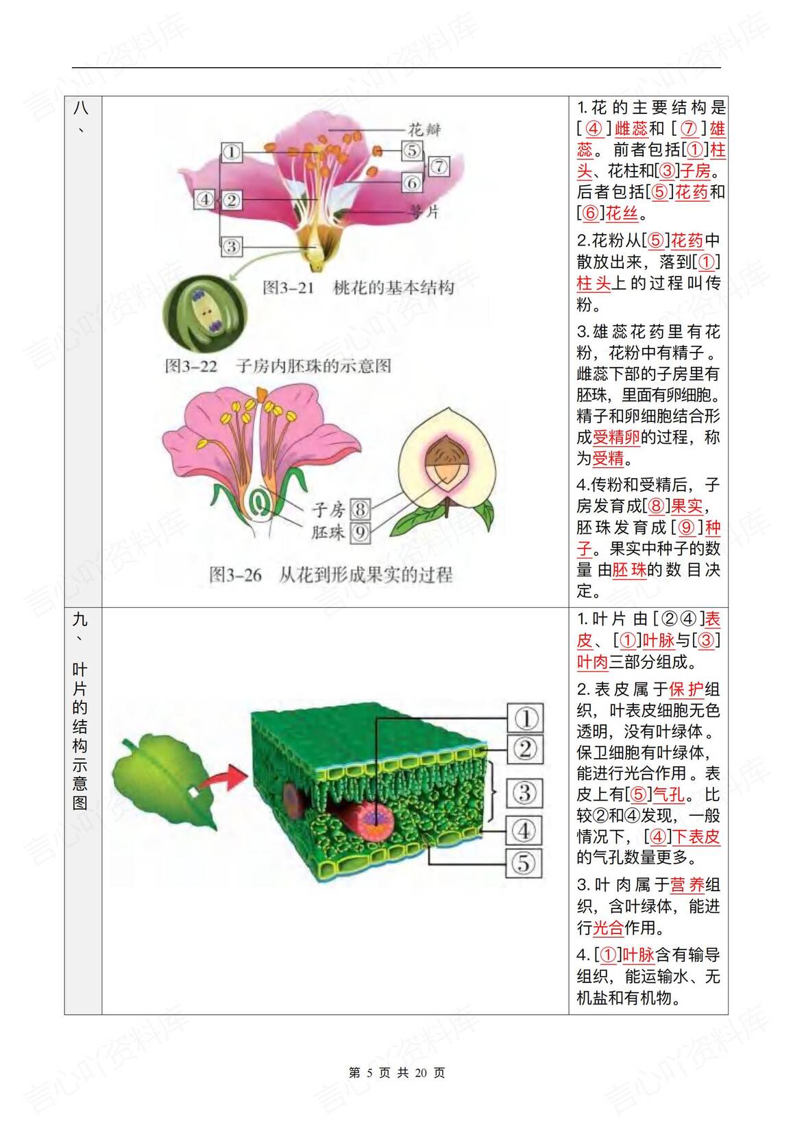 初中生物-2025会考复习知识彩图笔记插图初中生物2