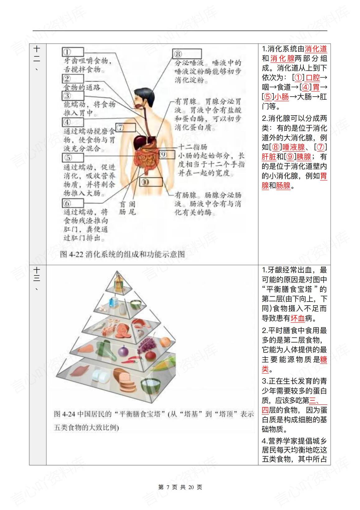初中生物-2025会考复习知识彩图笔记插图初中生物3