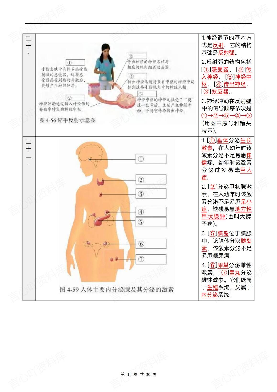 初中生物-2025会考复习知识彩图笔记插图初中生物5