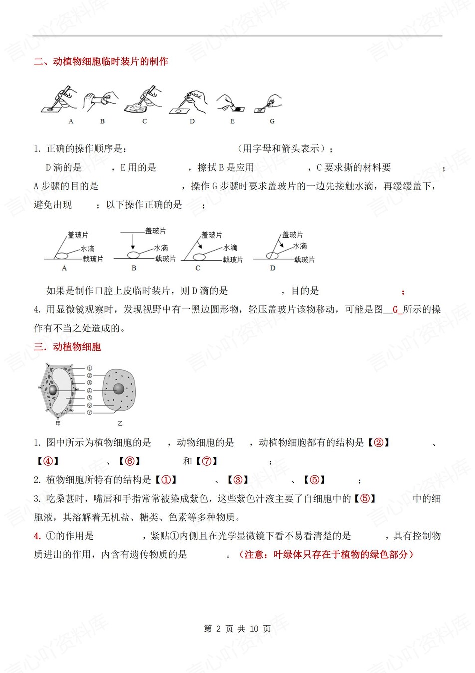 初中生物-七年级上常见识图知识汇总新人教初一上专项含答案插图初中生物1