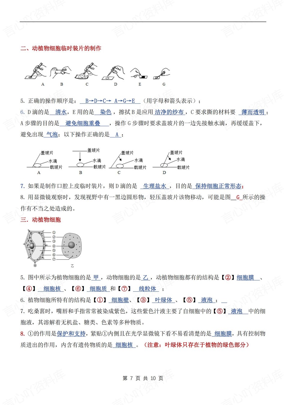 初中生物-七年级上常见识图知识汇总新人教初一上专项含答案插图初中生物3