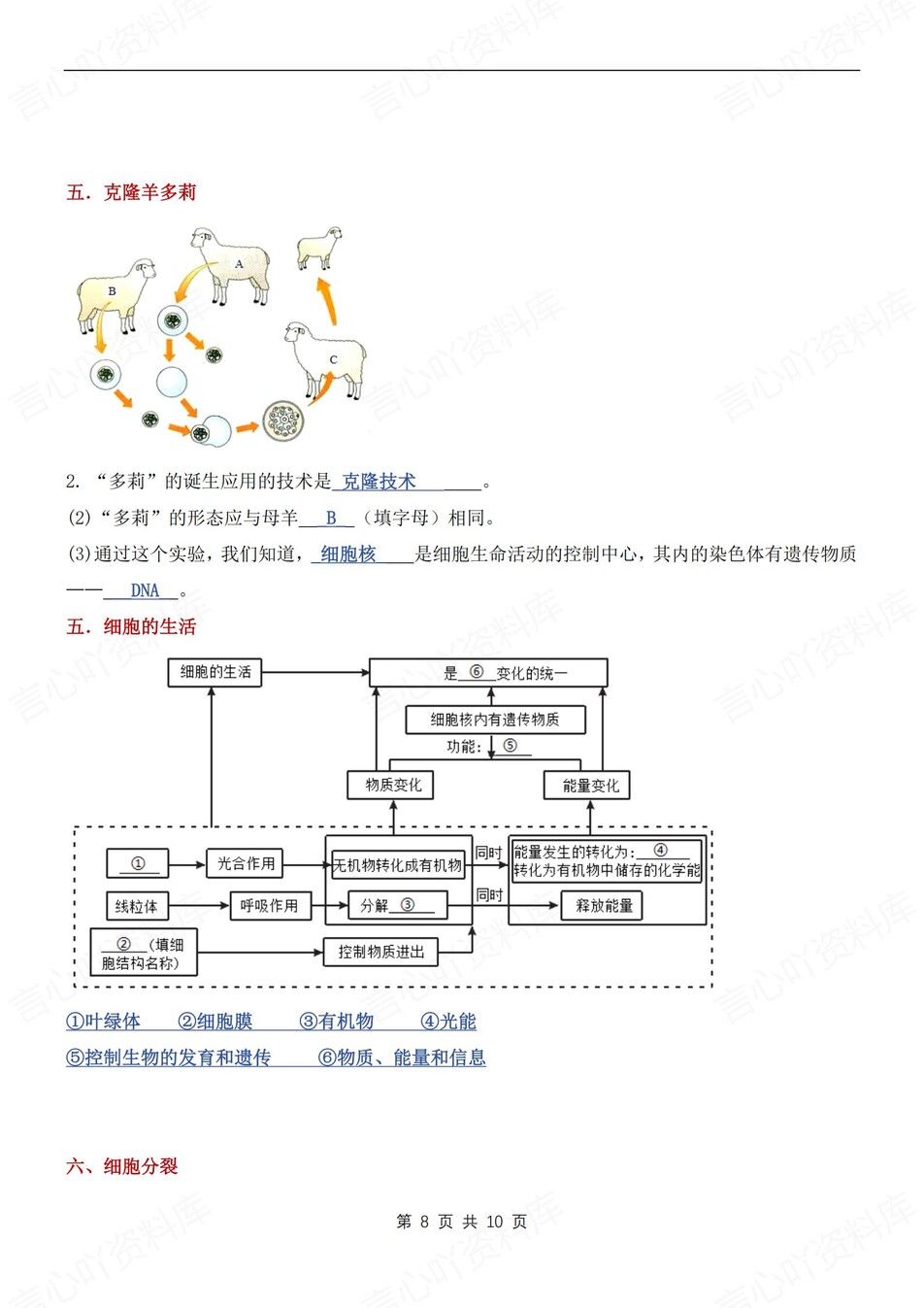 初中生物-七年级上常见识图知识汇总新人教初一上专项含答案插图初中生物4