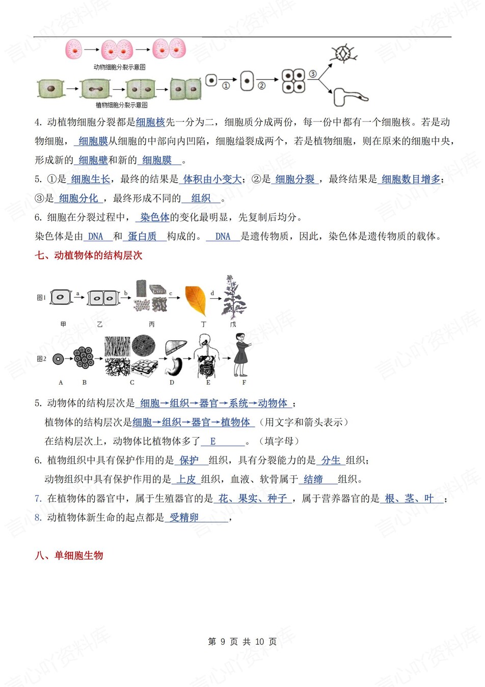 初中生物-七年级上常见识图知识汇总新人教初一上专项含答案插图初中生物5