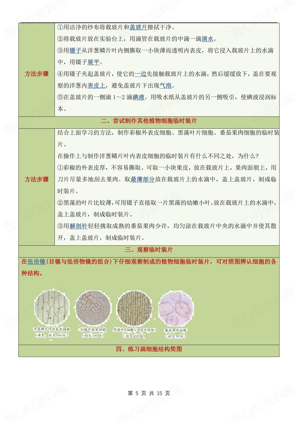 初中生物-七上期末常见常考实验知识新人教初一上插图初中生物4