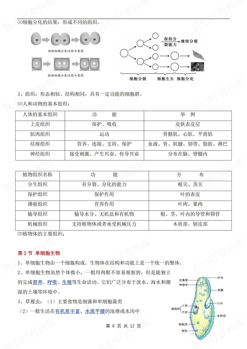 初中生物-七年级上章节知识汇总归纳新苏教初一上专项插图初中生物5
