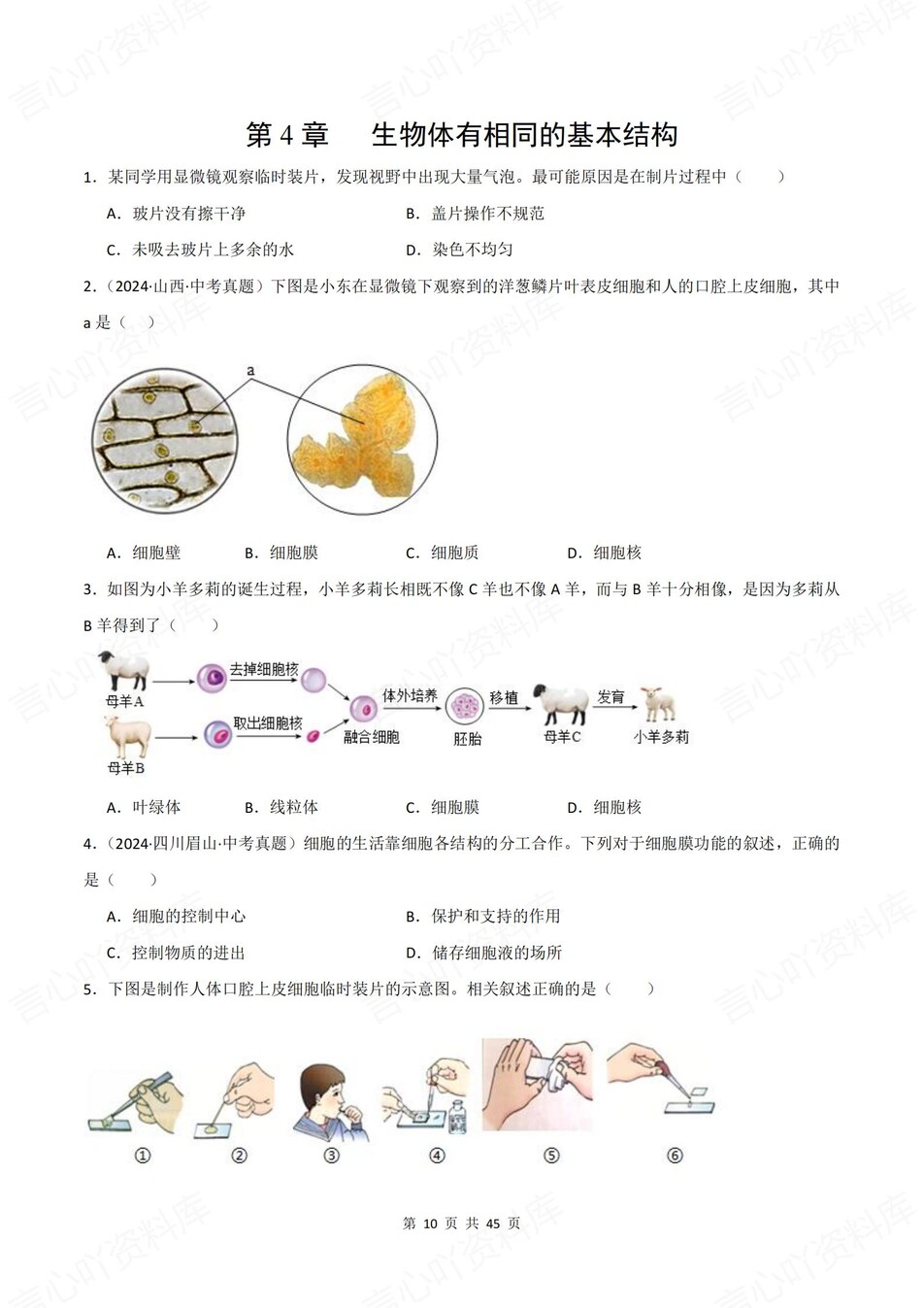 初中生物-七年级上1-6章单元同步训练新苏科初一上练习（含解析）插图初中生物4