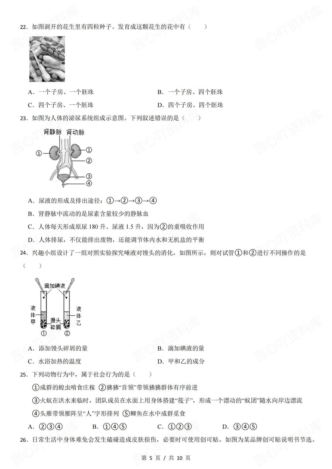 初中生物-2025年初中学业水平摸底模拟生物试卷（含答案）插图初中生物4